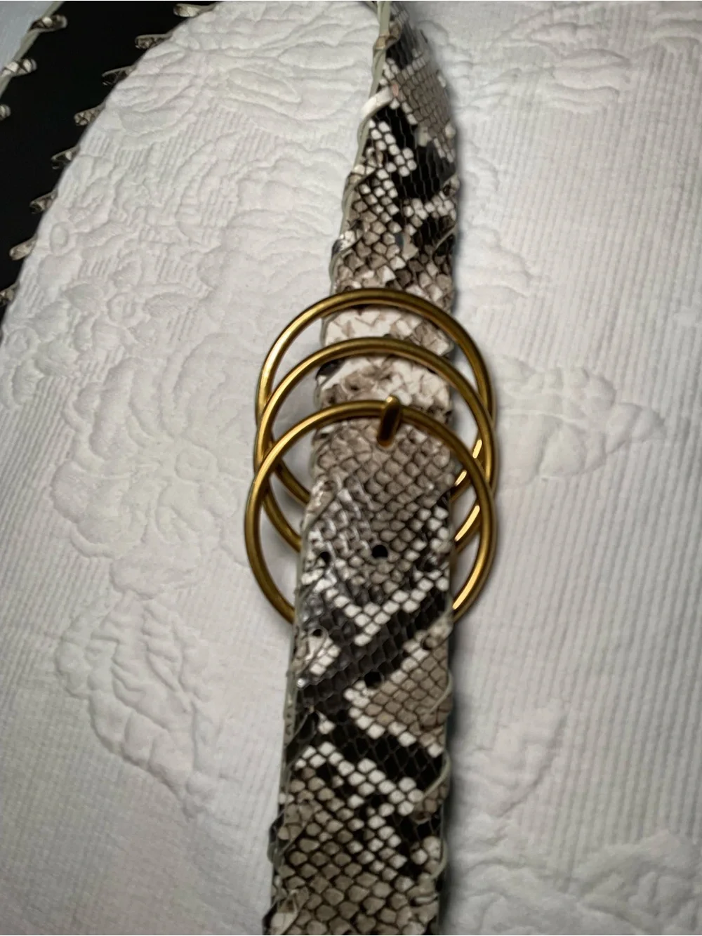 CAbi statement belt